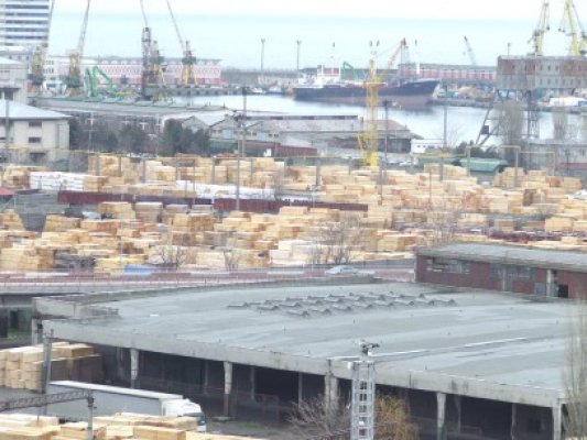 Amenzi, dosare penale şi lemne confiscate în Portul Maritim Constanţa